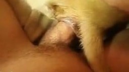 Скотоложец дрючит псину в тугонький анус зоо видео личное
