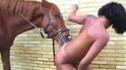Horse zoo нагие стройняшки хотят потрахаться с лошадью порнозоо на троих