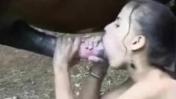 Красивая любительница зоо пытается порвать пердак на шишке коня