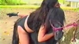 Смуглая нимфа устроила реальный анальный зоо секс с пони